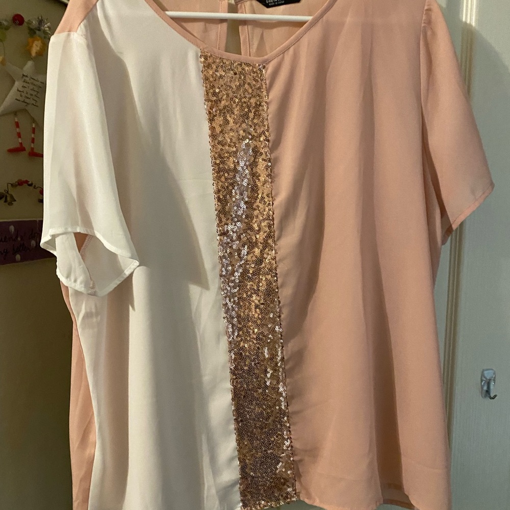 Sheer Blouse